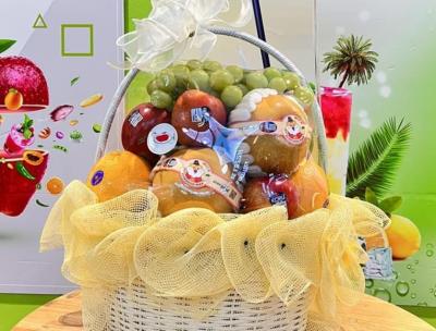 Giỏ trái cây MS12